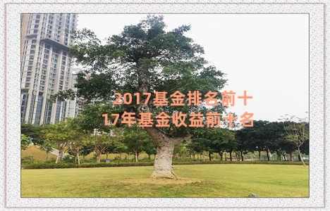 2017基金排名前十 17年基金收益前十名